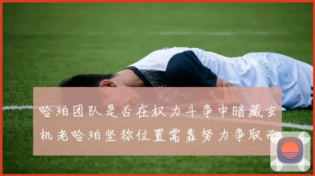 哈珀团队是否在权力斗争中暗藏玄机老哈珀坚称位置需靠努力争取而非索要
