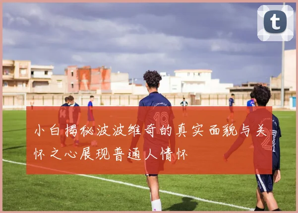 小白揭秘波波维奇的真实面貌与关怀之心展现普通人情怀